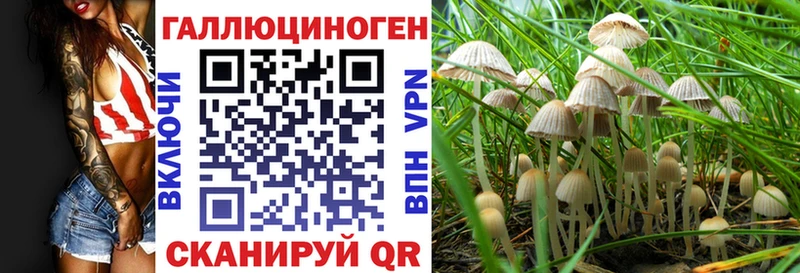 где купить наркоту  Агидель  Псилоцибиновые грибы Cubensis 